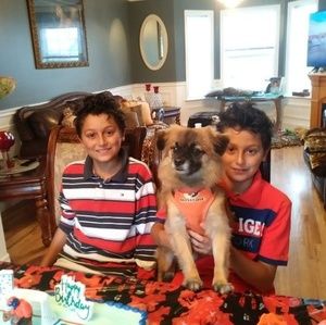 Meet your Posher, Rosaline